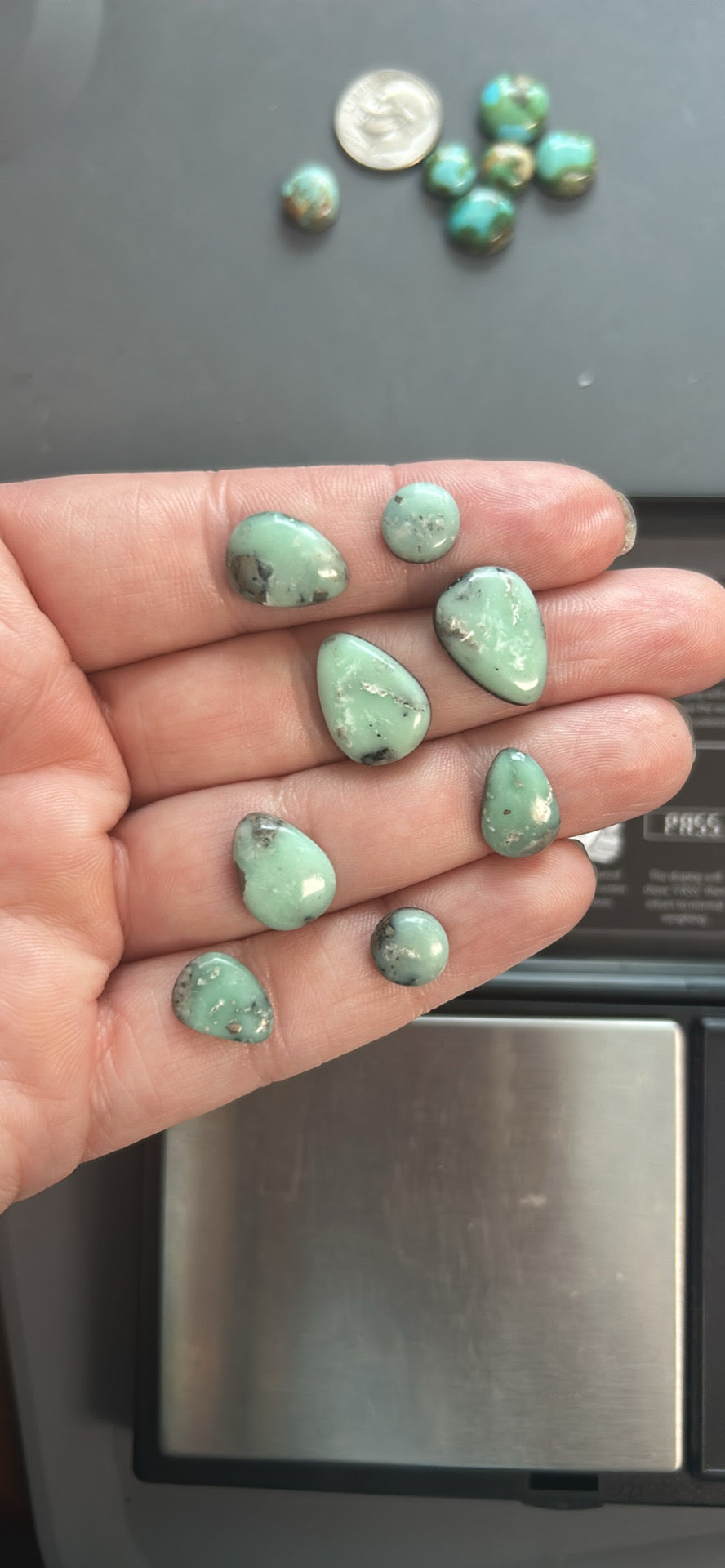 Paloma variscite cabochon lot