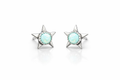 Golden hills turquoise star studs