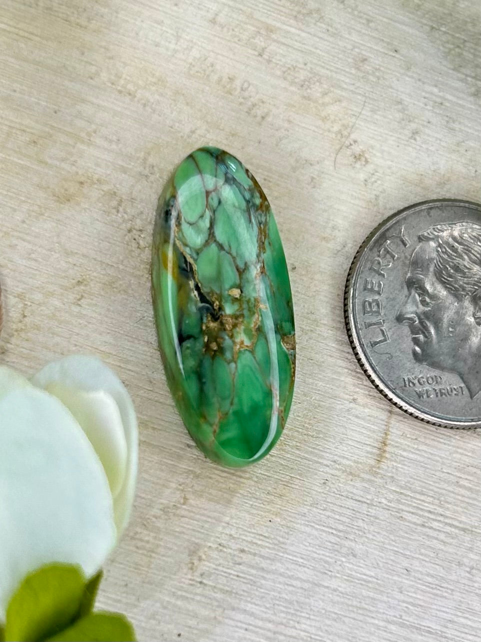 Woodland Station Veriscite￼