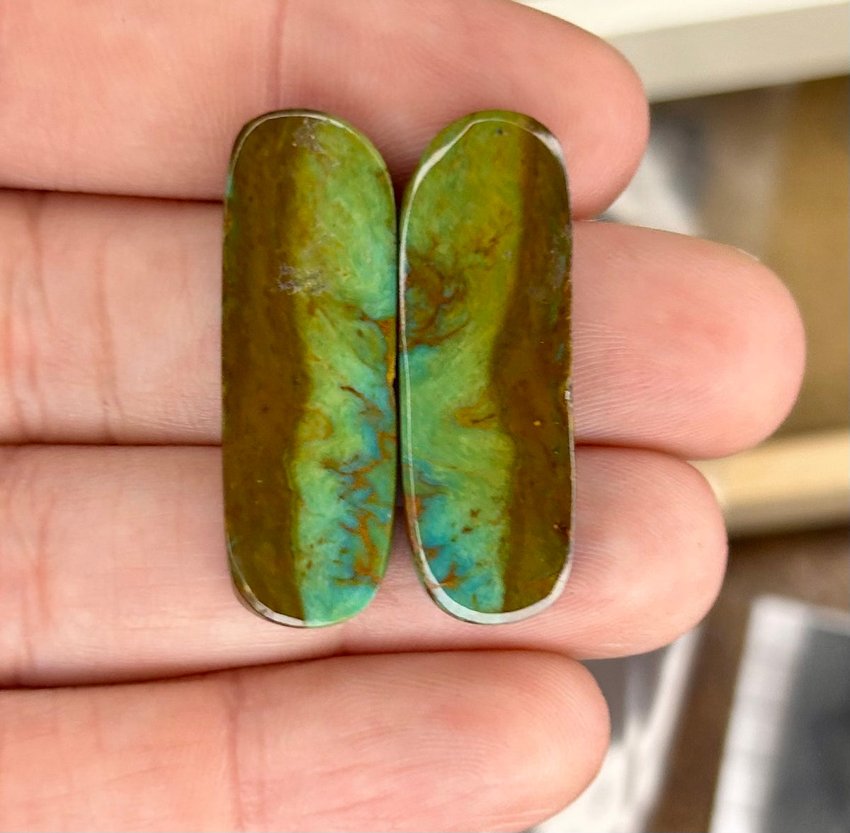 Royston turquoise cabochon pair