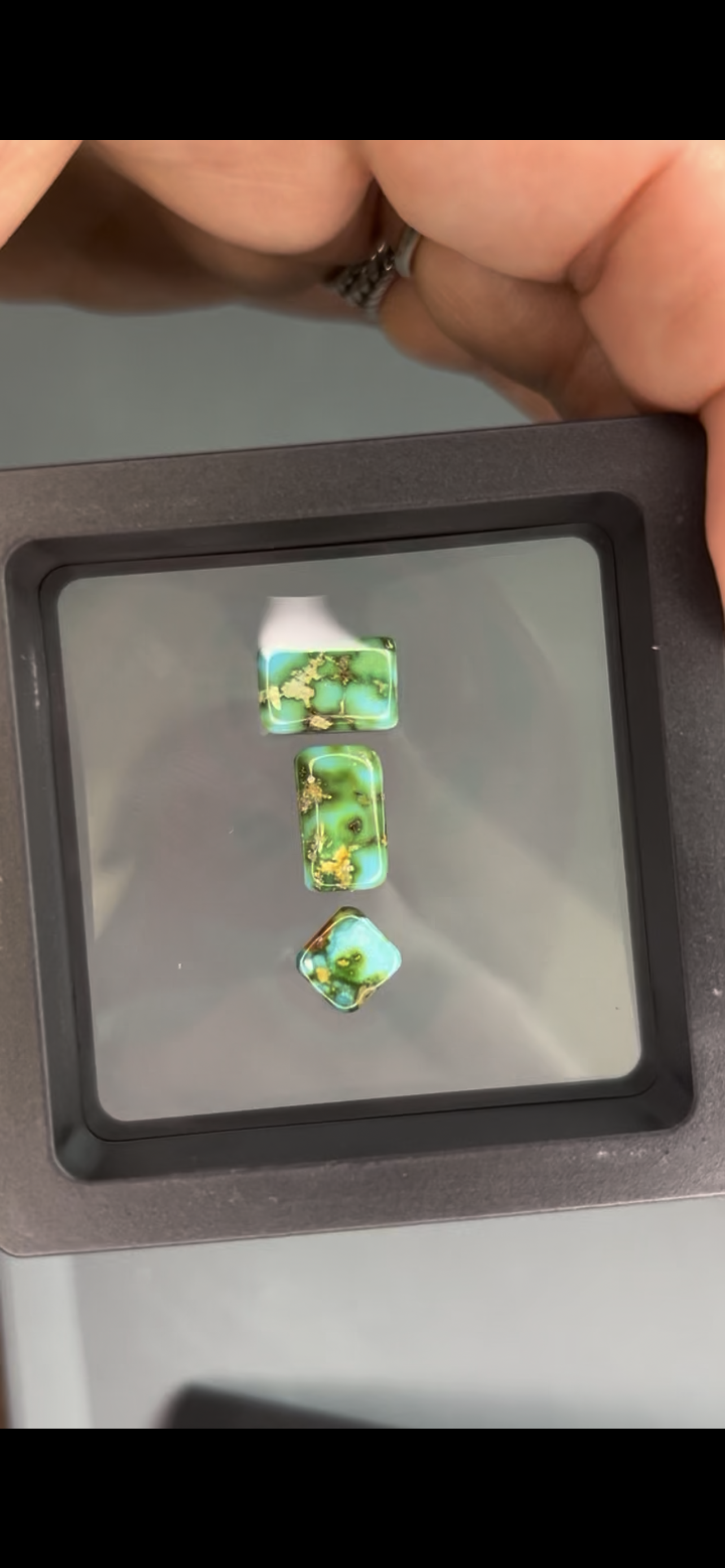 Sonoran gold turquoise set
