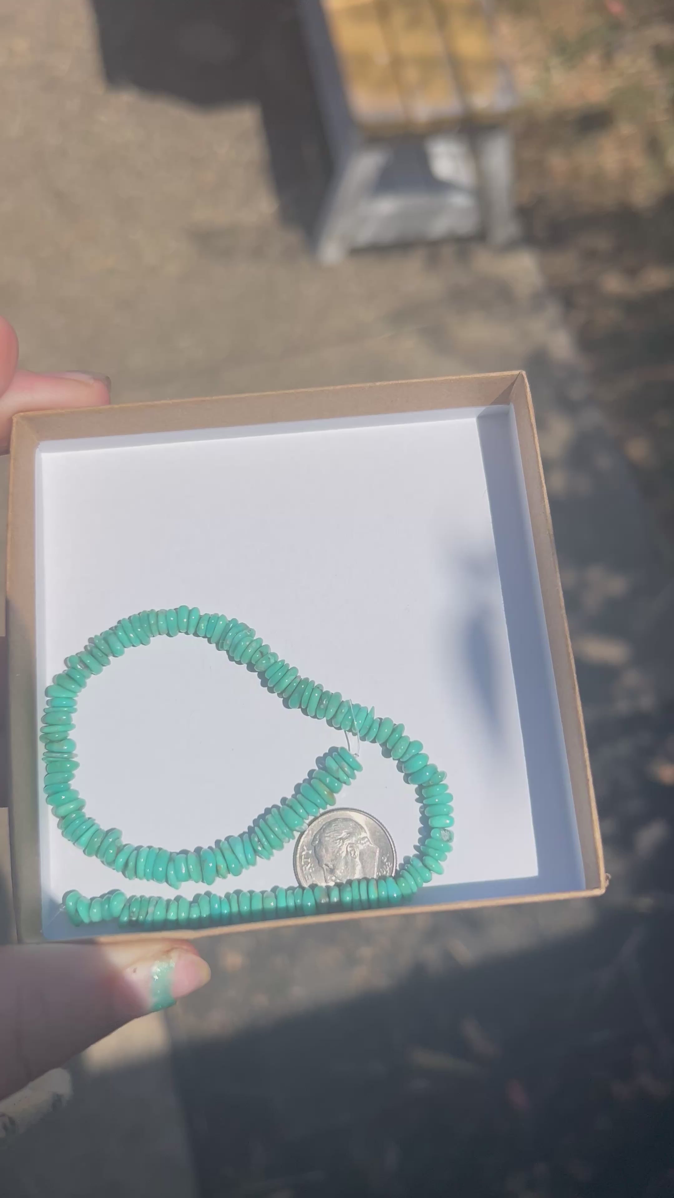 Campitos turquoise beads
